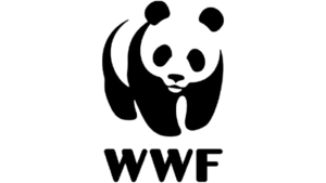 logo wwf 1 removebg preview